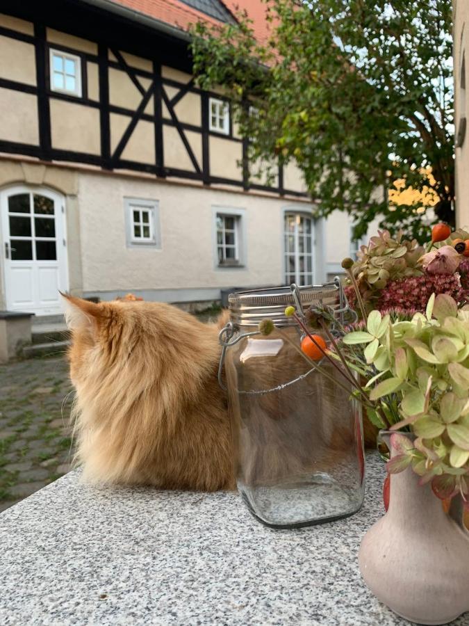 Studio Auf Denkmalgeschuetztem Dreiseithof In Hoefgen Bei Grimma Hofgen  Extérieur photo